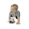 OBALL Autíčko a hrkálka 2v1 Curious Car zebra Zen™ 3m+