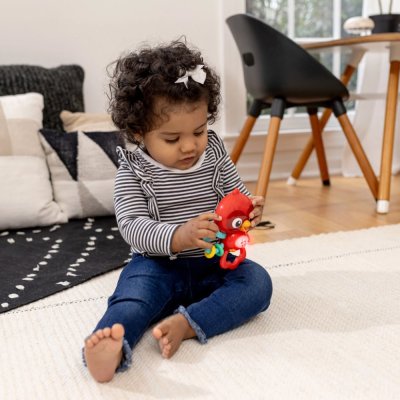 BABY EINSTEIN Musikalisches sensorisches Spielzeug Roxy's Bright Flight™ 3m+