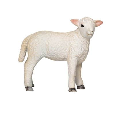 Mojo Romney Marsh Lamm stehend