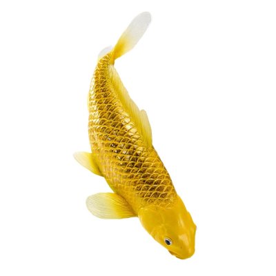 Mojo Carpa koi kin matsuba