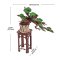 RoboTime 3D Holzpuzzle Bonsai Kiefer