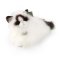 Rappa Plyschkatt ragdoll liggande 35 cm ECO-FRIENDLY