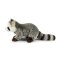 Rappa Pluche wasbeer 22 cm ECO-FRIENDLY