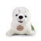 Rappa Pluszowa foka 25 cm ECO-FRIENDLY