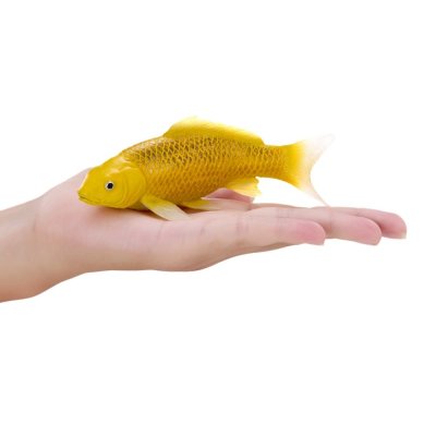 Mojo Carpa koi kin matsuba