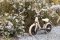 QPLAY Poganjalec Trainer Silver, starost 2-4 leta