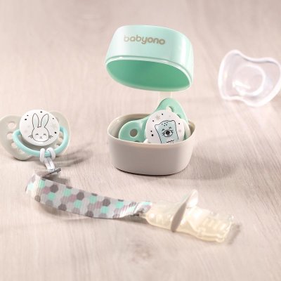 BABYONO Schnulleretui mint