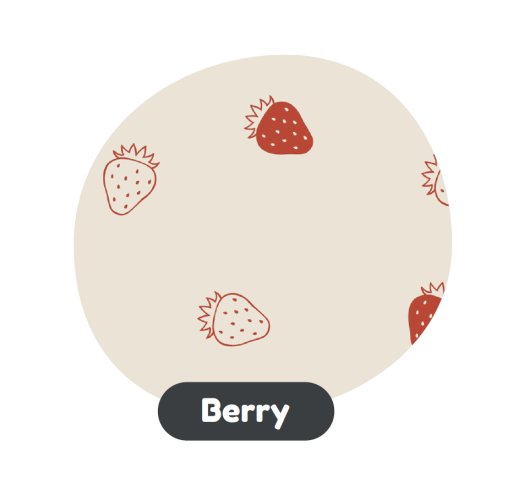 AEROMOOV Bilstolsinsats Berry 0-13 kg Begränsad
