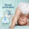 PAMPERS Premium Care Wegwerfwindeln Größe 3 (200 Stück) 6-10 kg - Monatspackung