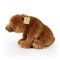 Rappa Urs de pluș grizzly așezat 30 cm ECO-FRIENDLY