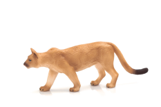 Mojo Puma americká
