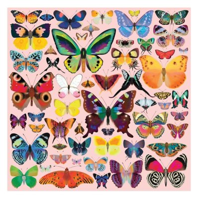 Mudpuppy Puzzle Brillante Schmetterlinge 500 Teile