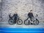THULE Assento de bicicleta RideAlong 2 cinza escuro