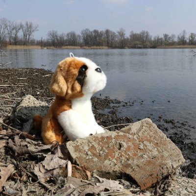 Rappa Plyschhund Sankt Bernhard 20 cm ECO-FRIENDLY
