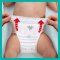 PAMPERS Premium Care Pants Einwegwindelhöschen 6 (16 kg+) 31 Stk