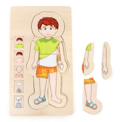 small foot Drewniane puzzle anatomiczne Tim