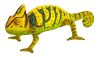 Modele de animale și figuri