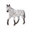 Mojo Appaloosa armăsar