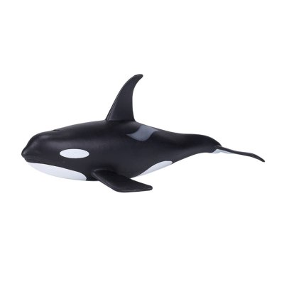 Mojo Kardszárnyú delfin