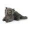 Rappa Gato persa de peluche 30 cm ECO-FRIENDLY