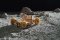 Ugears 3D puzzle mecánico de madera NASA, Vehículo Lunar
