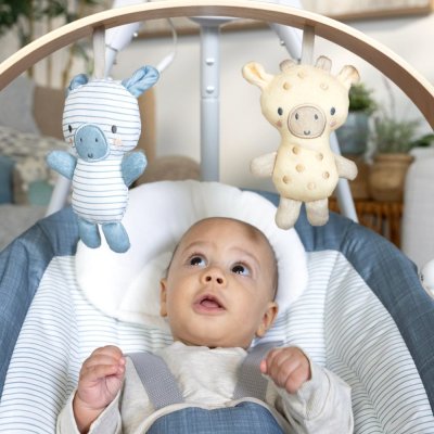 INGENUITY Baloiço com movimento e música Chambray 0m+, até 9 kg
