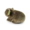 Rappa Plüsch-Wombat 20 cm ECO-FRIENDLY