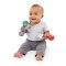 BABY EINSTEIN Brinquedo de chocalho Shake & Groove™ 2 unidades, 3m+