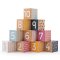 Bigjigs Toys Number Blocks