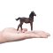 Mojo Hanoverian Foal Bay