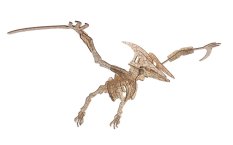 Woodcraft Houten 3D Puzzel Pterosaurus