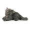 Rappa Gato persa de peluche 30 cm ECO-FRIENDLY
