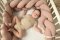 BABYMATEX Nestchen für Babybett Musselin geflochtenes Zopf - Rosa 200 cm