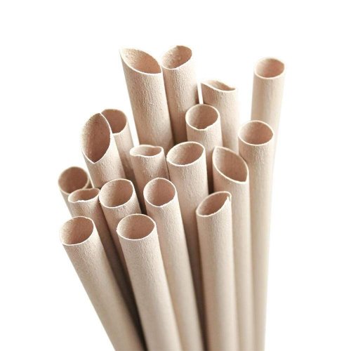 Bambusova slamica za enkratno uporabo, 50 kosov