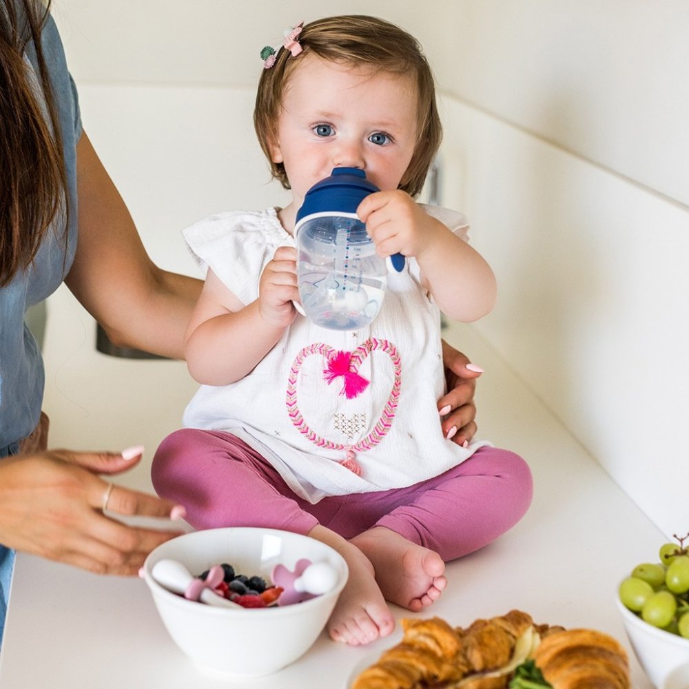 BABYONO Cucchiaio E Forchetta Con Custodia Rosa 12m+