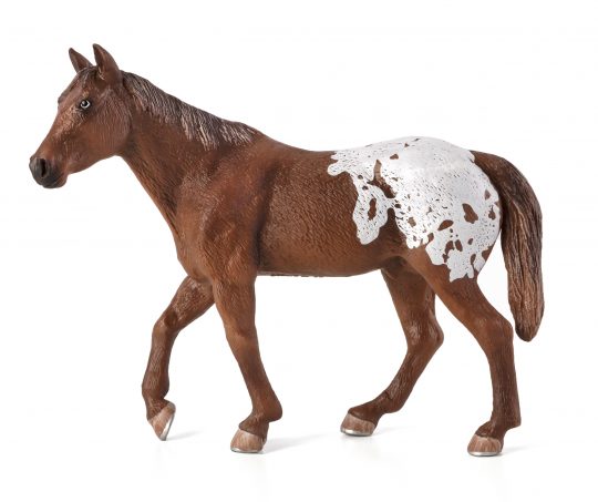 Mojo Appaloosa semental blanket