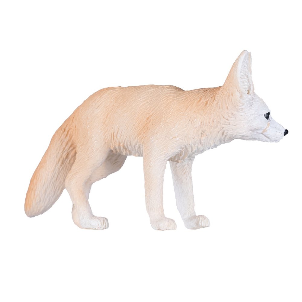 Mojo Fenek - immagine 3