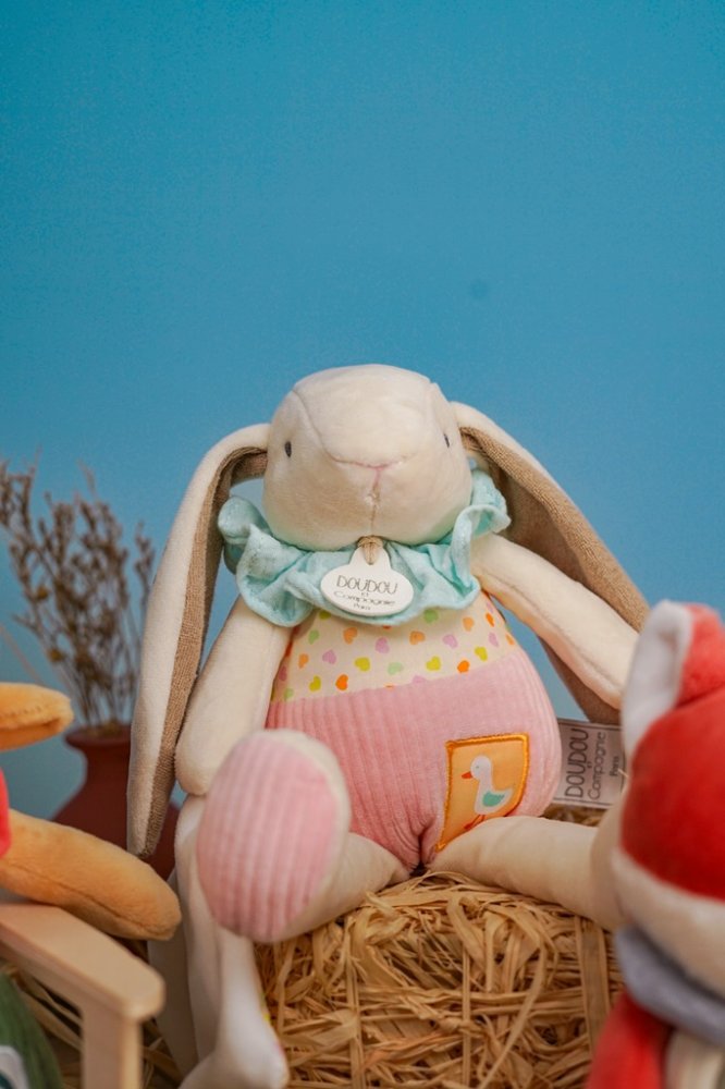 Doudou Dárková sada růžová Králíček Ciboulette s dečkou 28 cm (obrázek 11)