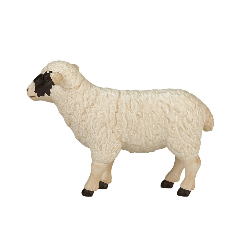 Owca Hampshire Mojo (zdjęcie 3)