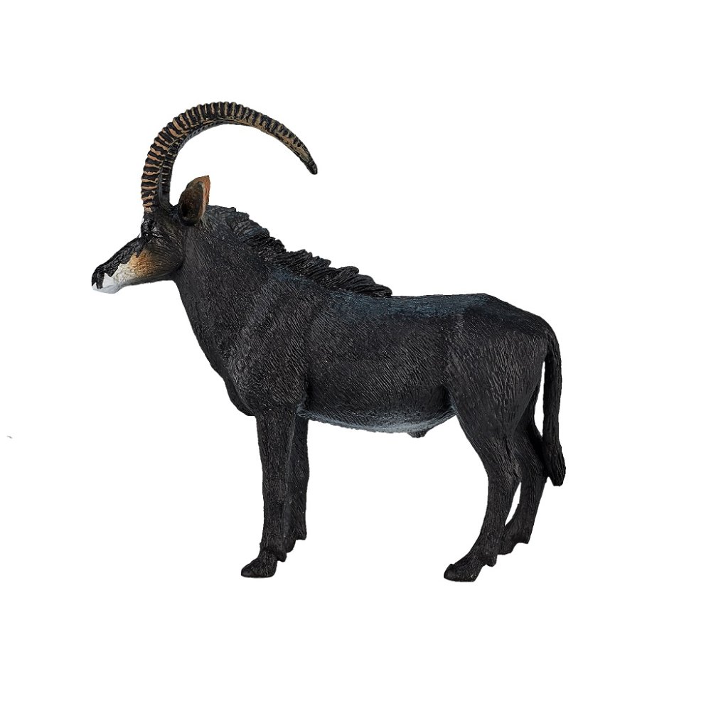 Mojo Antilopa vraná (obrázek 5)