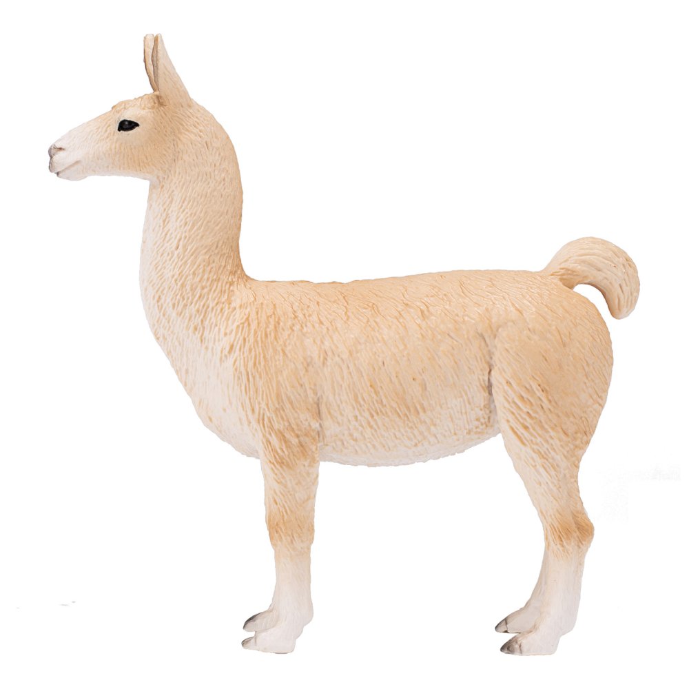 Mojo Lama (obrázek 4)