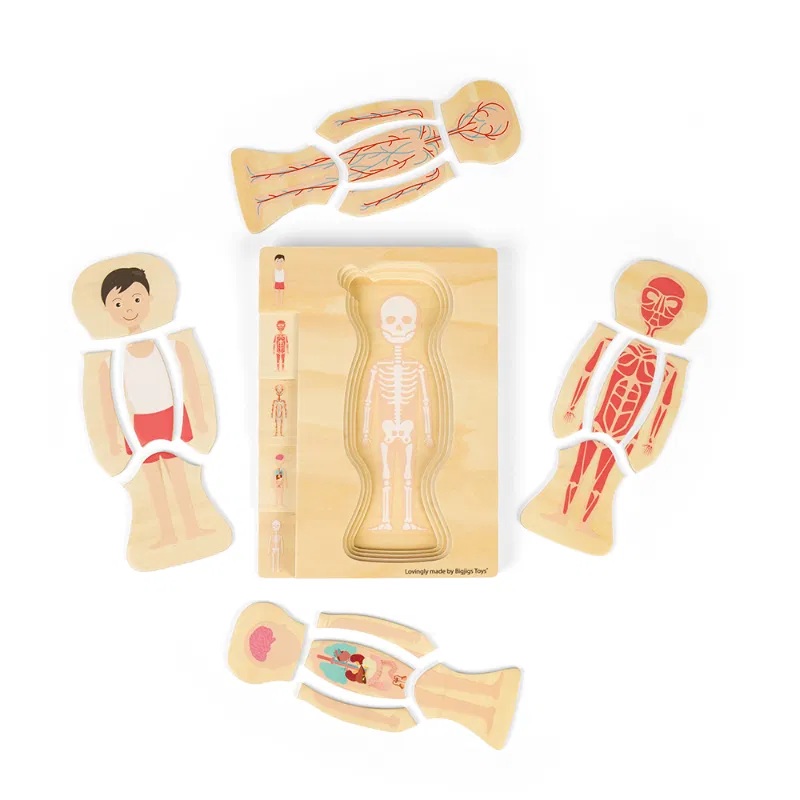 Bigjigs Toys Dřevěné puzzle Anatomie chlapec (obrázek 6)