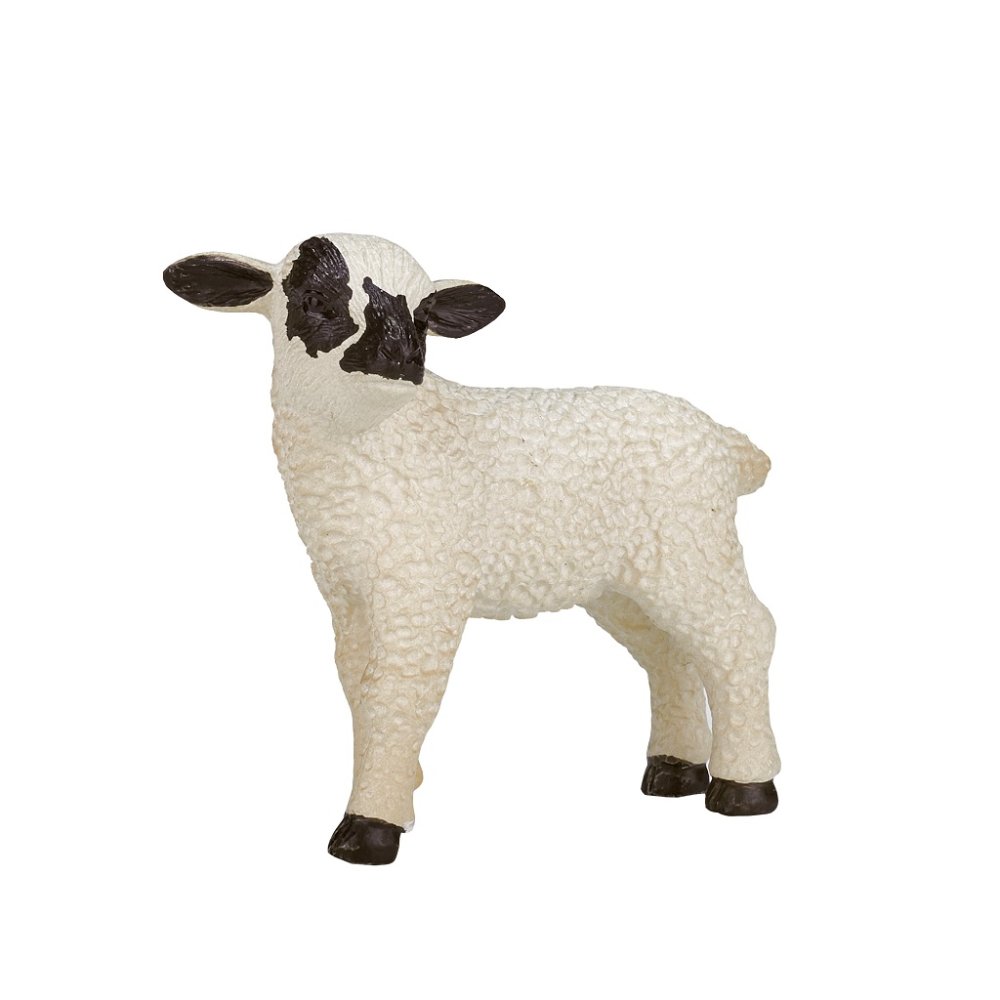 Mouton Hampshire Mojo debout – Image 5