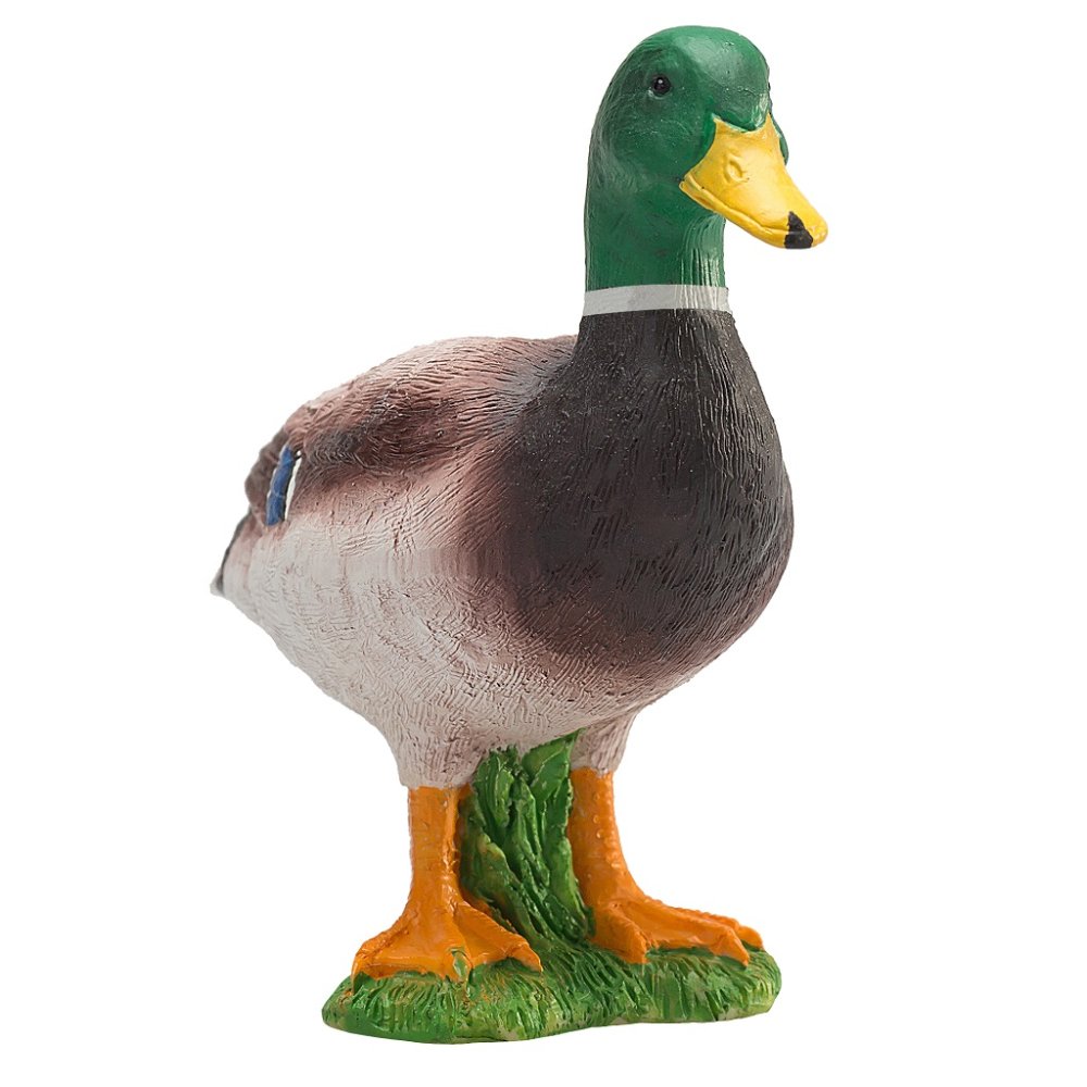 Mojo Canard colvert mâle – Image 3
