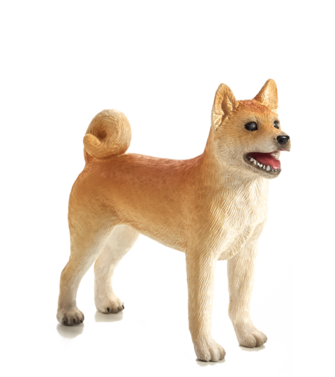 Mojo Chien Shiba Inu