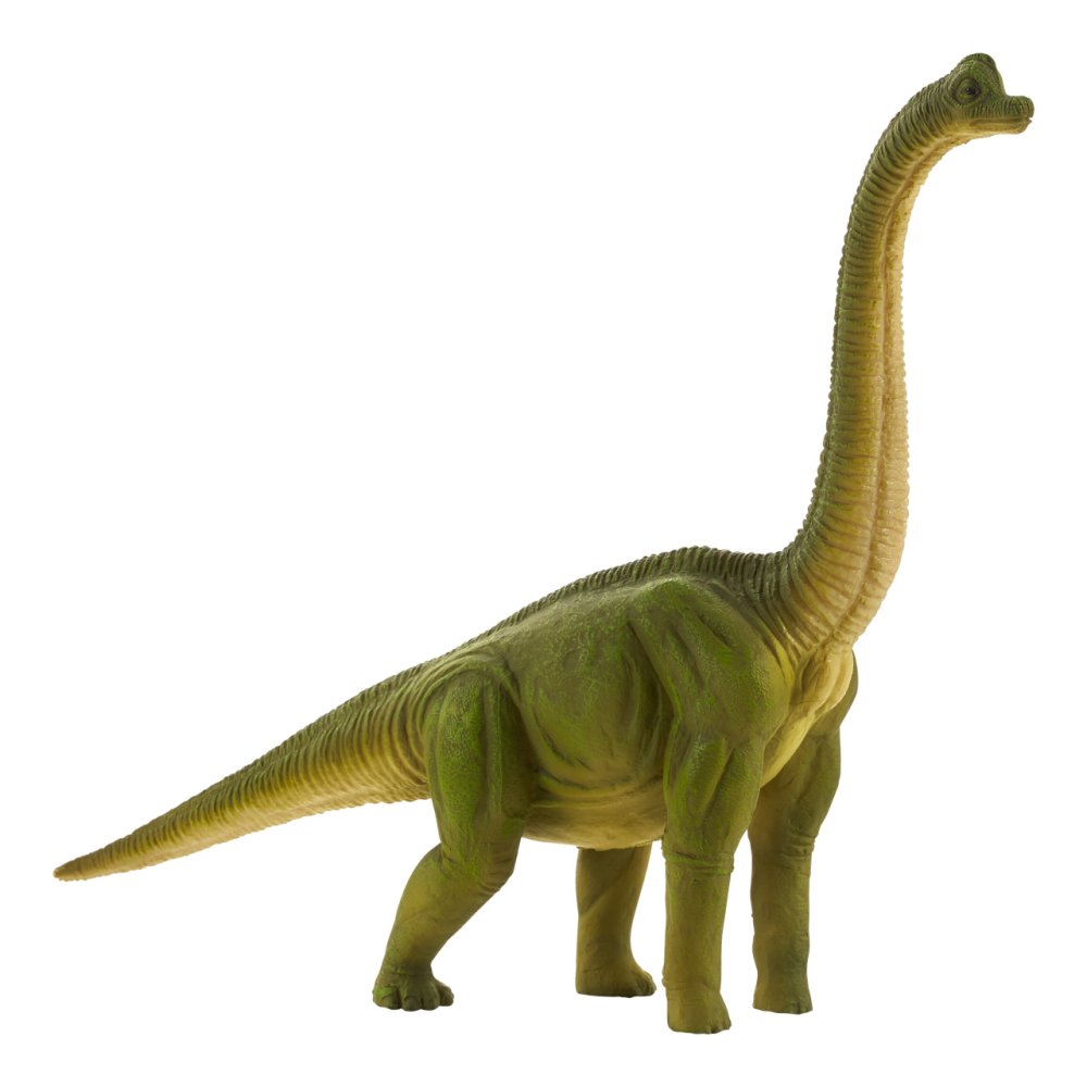 Mojo Brachiosaurus grande