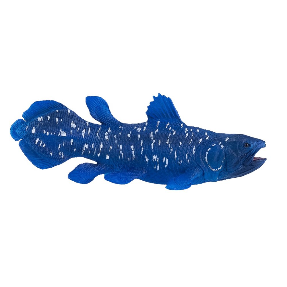 Mojo Coelacanthe – Image 4