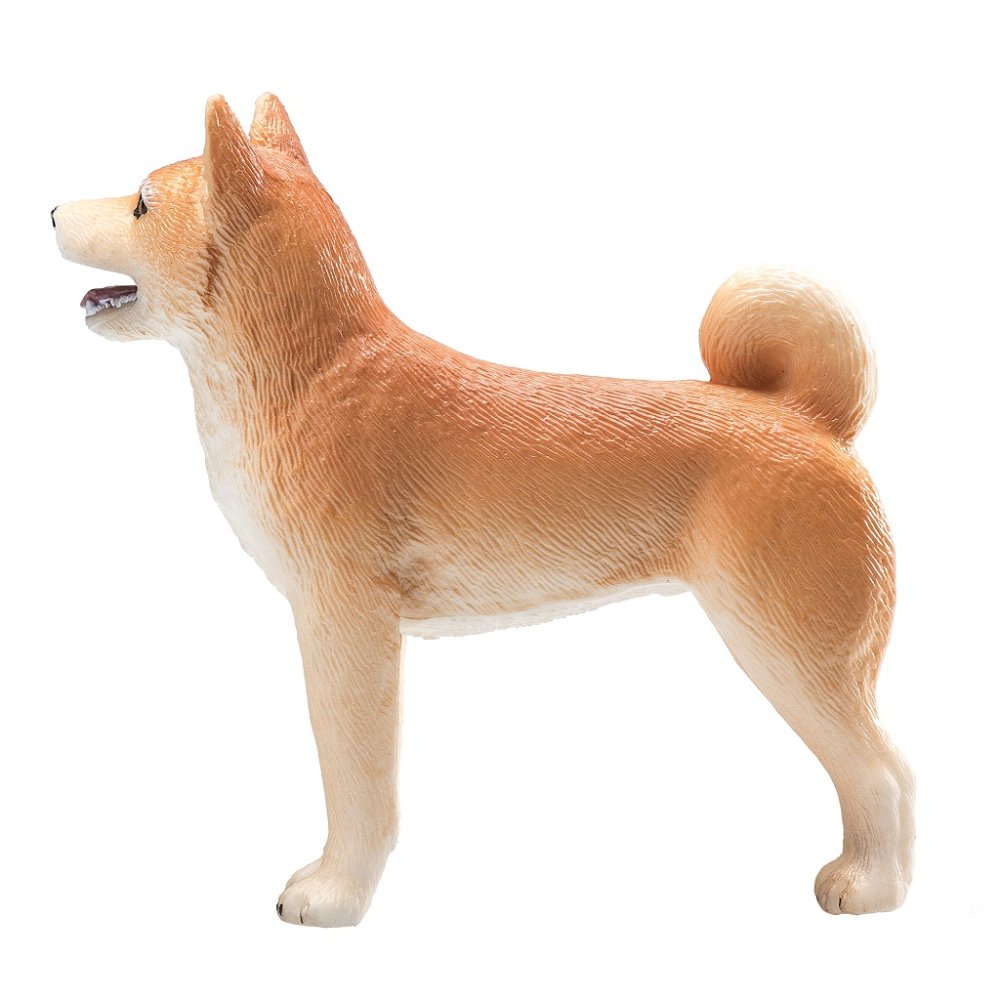 Mojo Pes shiba-inu (zdjęcie 4)