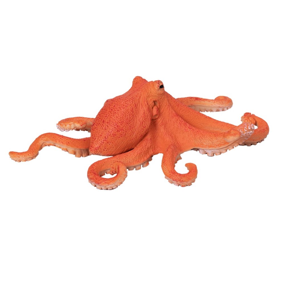 Mojo Chobotnice (obrázek 4)