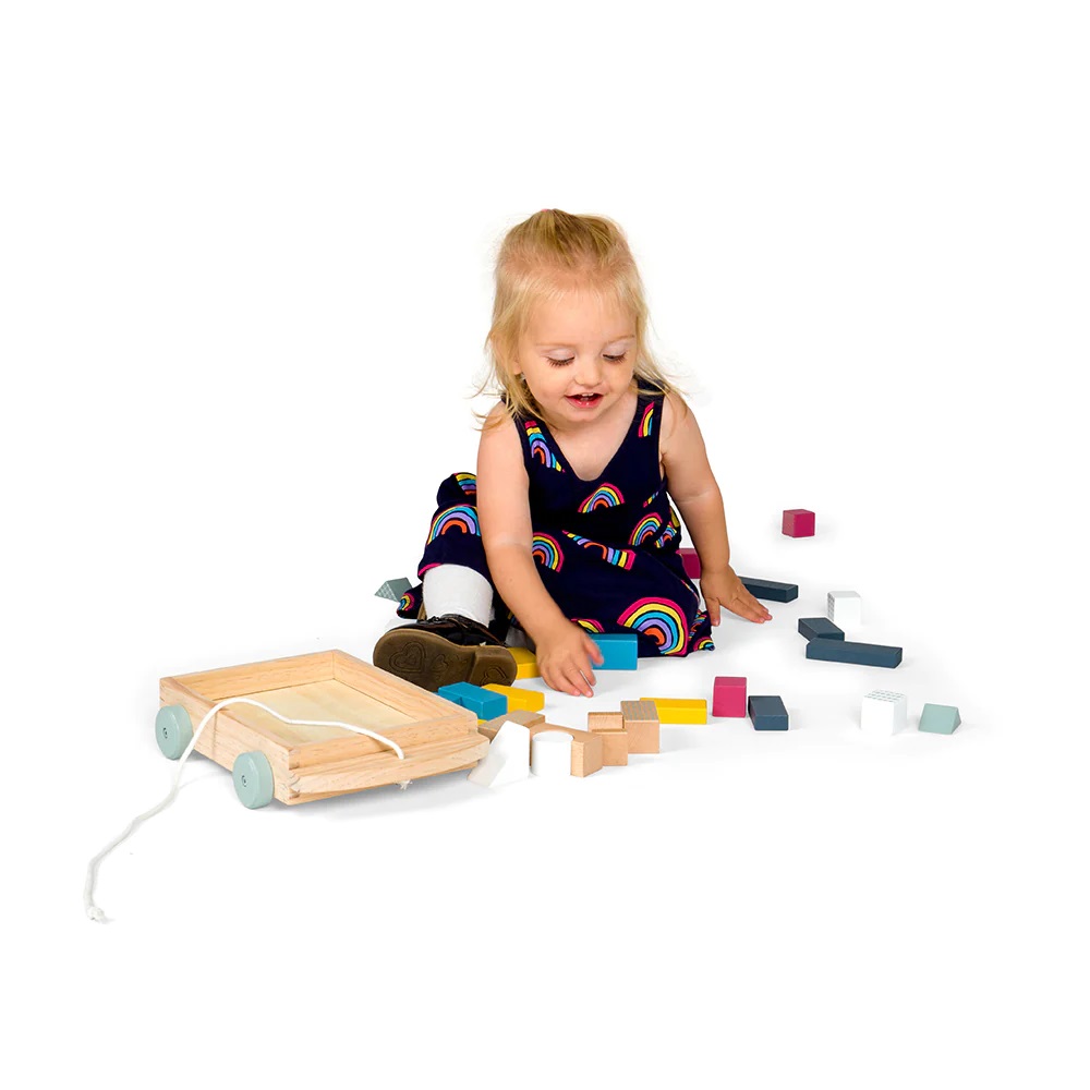 Bigjigs Toys Vozík s dřevěnými kostkami (obrázek 4)